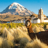Bolivia