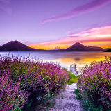 Guatemala