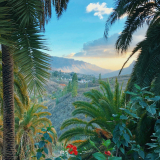 Canary Islands