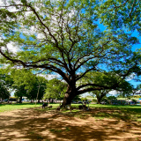 Liberia