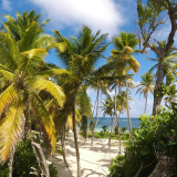 Martinique