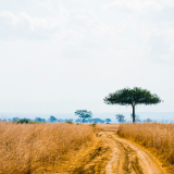 Tanzania-United Republic of